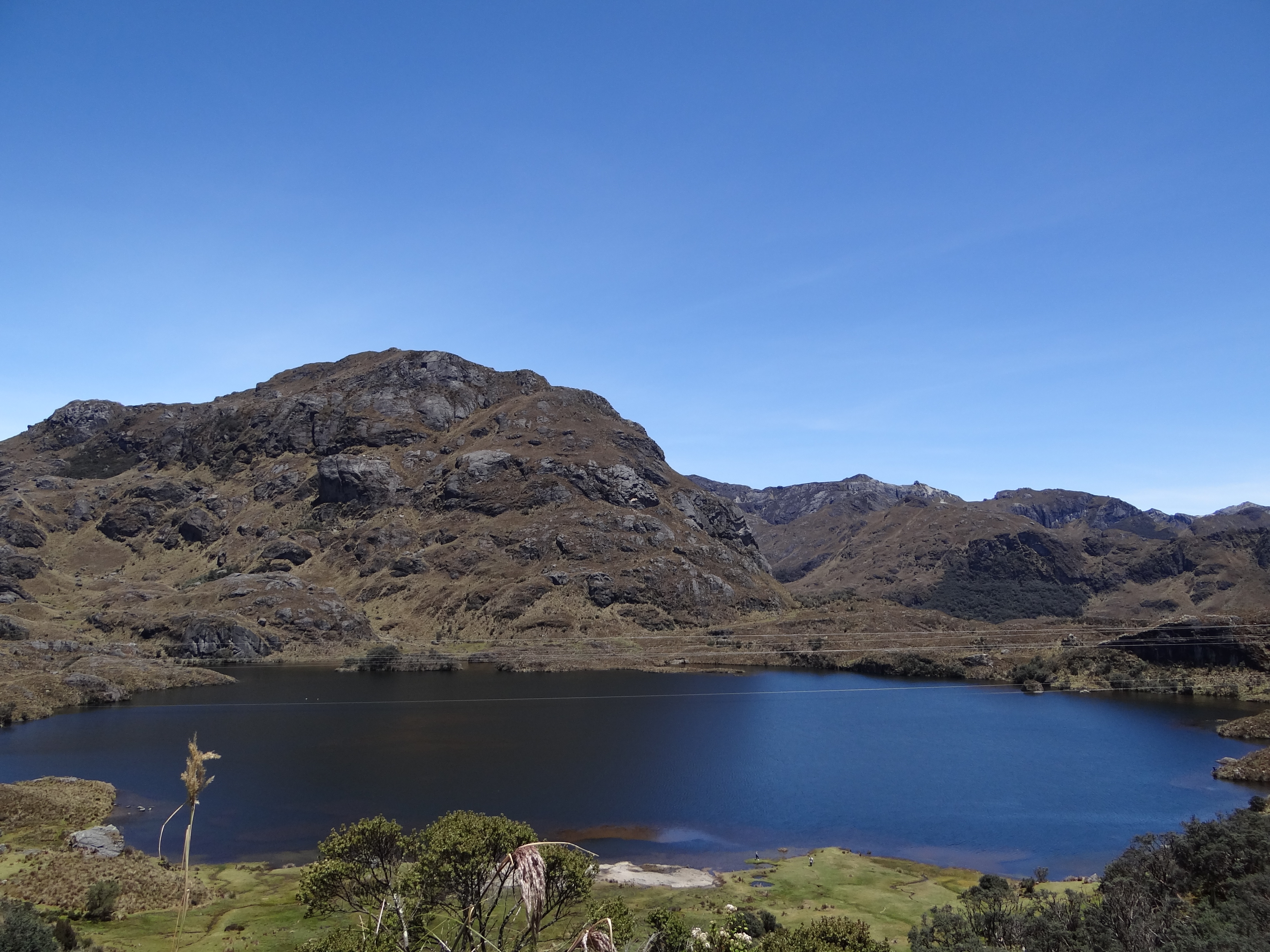 Cajas
