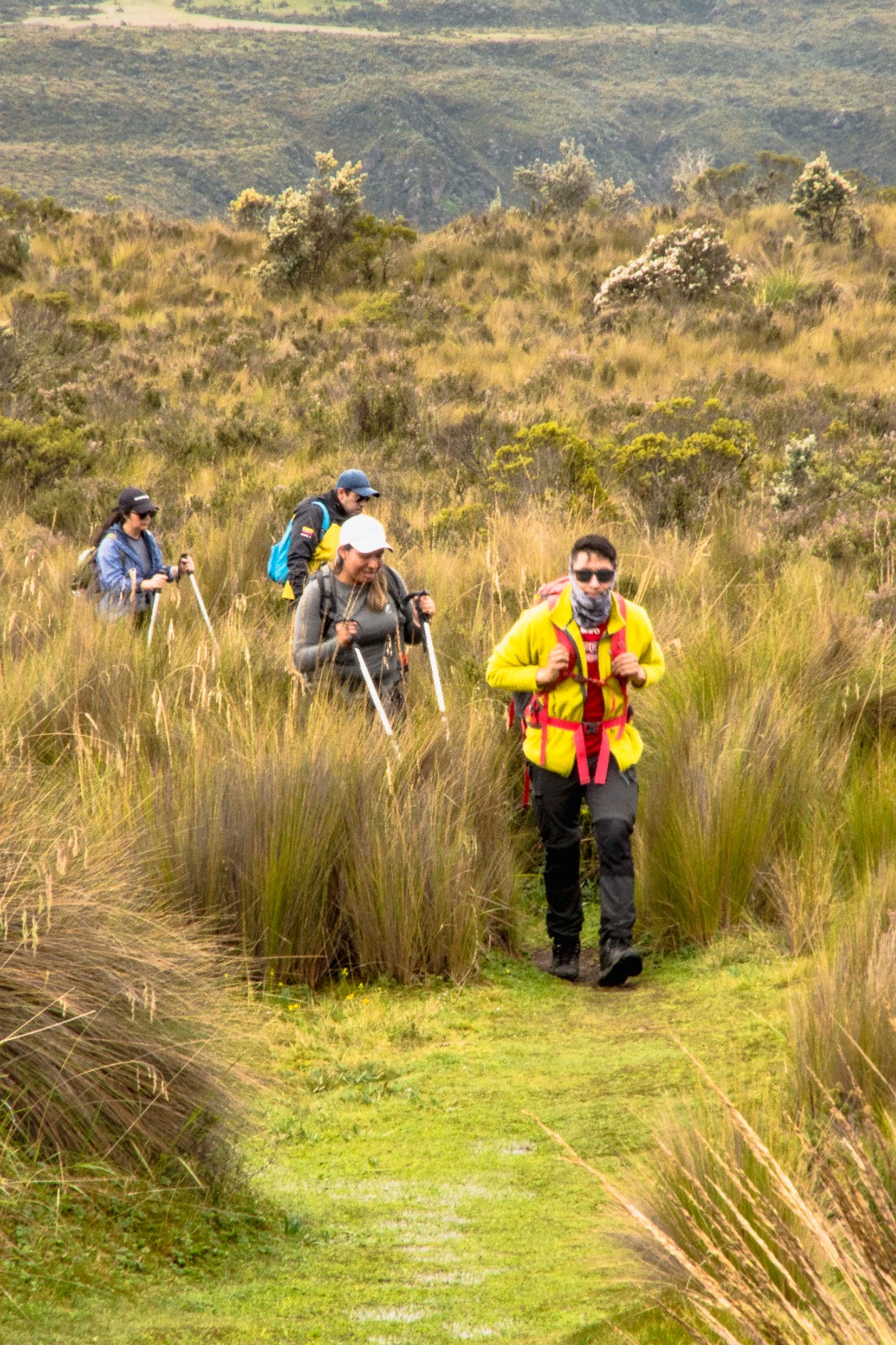 Sendero de montaña